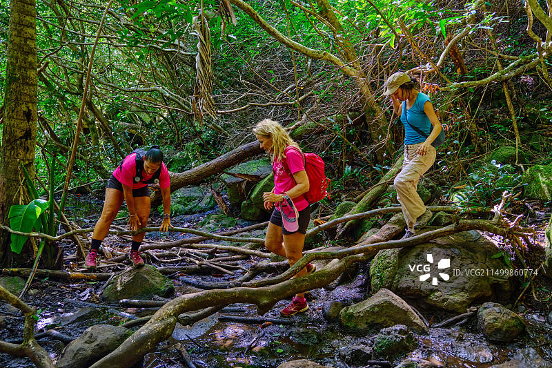 毛里求斯威廉平原区，亨利埃塔，塔马林河七瀑布徒步旅行图片素材