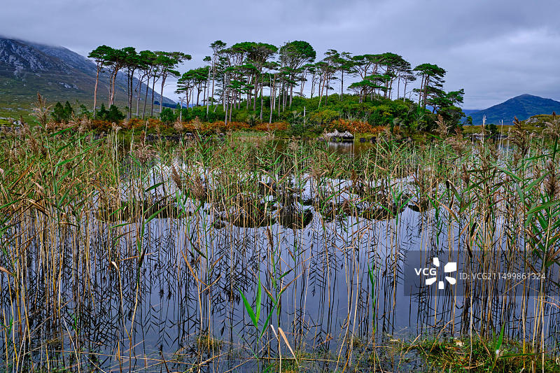爱尔兰共和国戈尔韦郡康尼马拉国家公园德里克莱尔湖岛屿和十二宾山图片素材