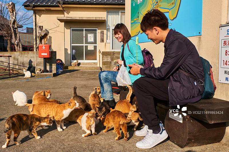 日本四国爱媛县青岛猫岛风光图片素材