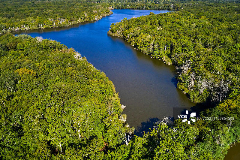 法国卢瓦-谢尔省米朗赛的布鲁阿当森林图片素材