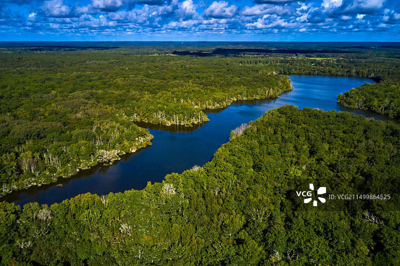 法国卢瓦-谢尔省米朗赛的布鲁阿当森林图片素材