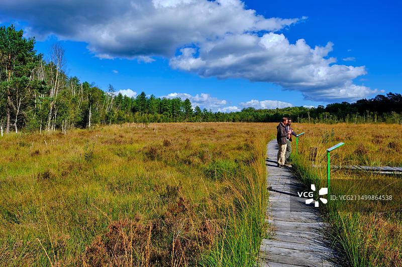 法国索洛涅谢尔省讷维-叙尔-巴朗热翁泥炭沼泽图片素材