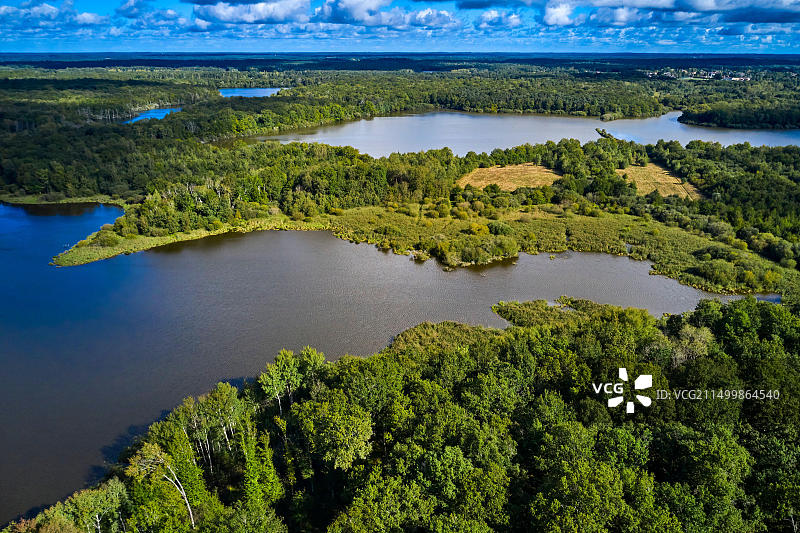 法国卢瓦-谢尔省米朗赛的布鲁阿当森林图片素材