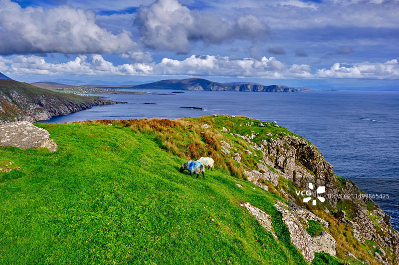爱尔兰梅奥郡阿基尔岛基姆湾图片素材