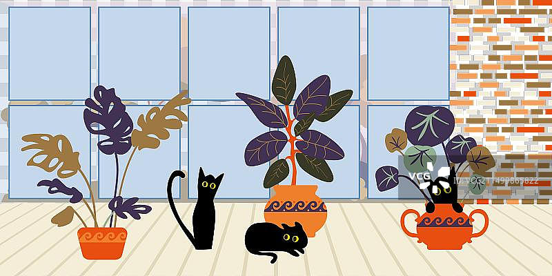 房间里玩耍和躲藏的有趣黑猫图片素材