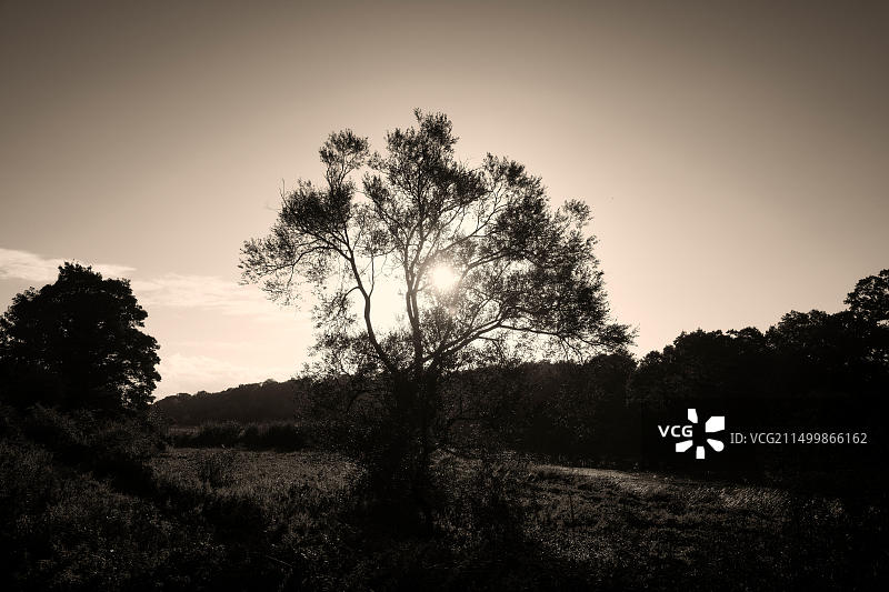 爱尔兰博伊恩河畔阳光景色图片素材