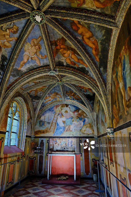 法国卢瓦-谢尔省维尔萨万城堡小教堂壁画图片素材