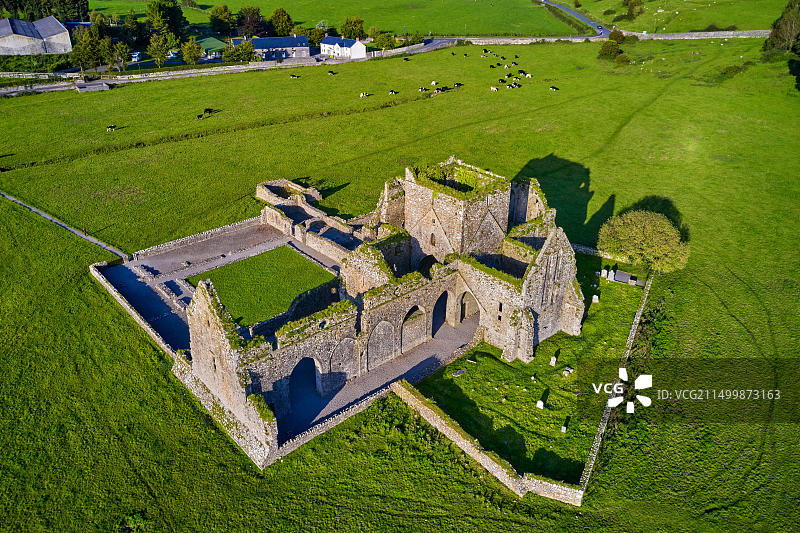 爱尔兰共和国蒂珀雷里郡霍尔修道院遗址图片素材