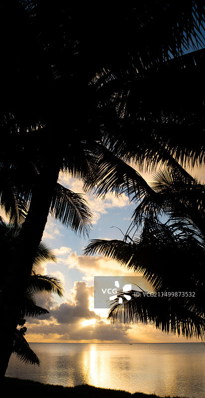 库克群岛艾图塔基泻湖日落棕榈树景观图片素材