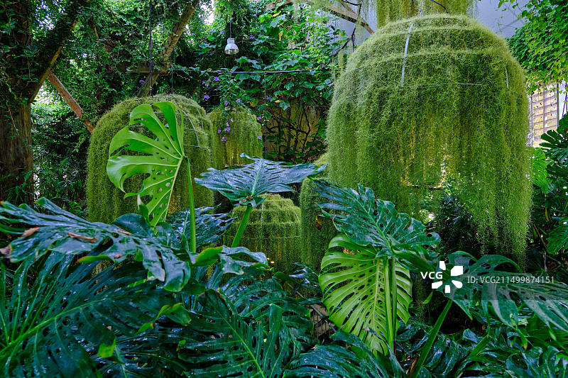 法国卢瓦尔河畔肖蒙城堡国际花园节图片素材