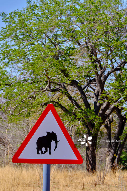 津巴布韦马塔贝莱兰北部省：万基国家公园大象出没警告标志图片素材