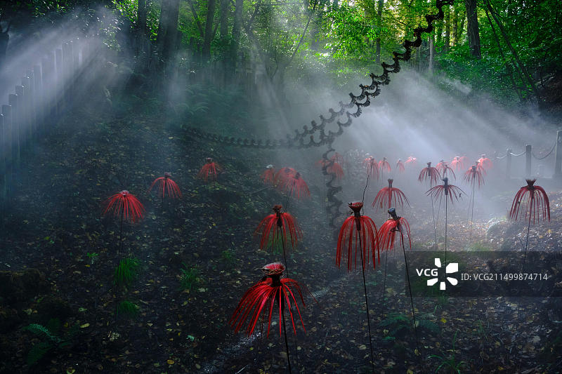 法国卢瓦尔河畔肖蒙城堡国际花园节图片素材