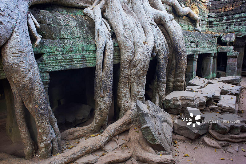 东南亚柬埔寨暹粒省吴哥遗址：联合国教科文组织世界遗产茶胶寺图片素材