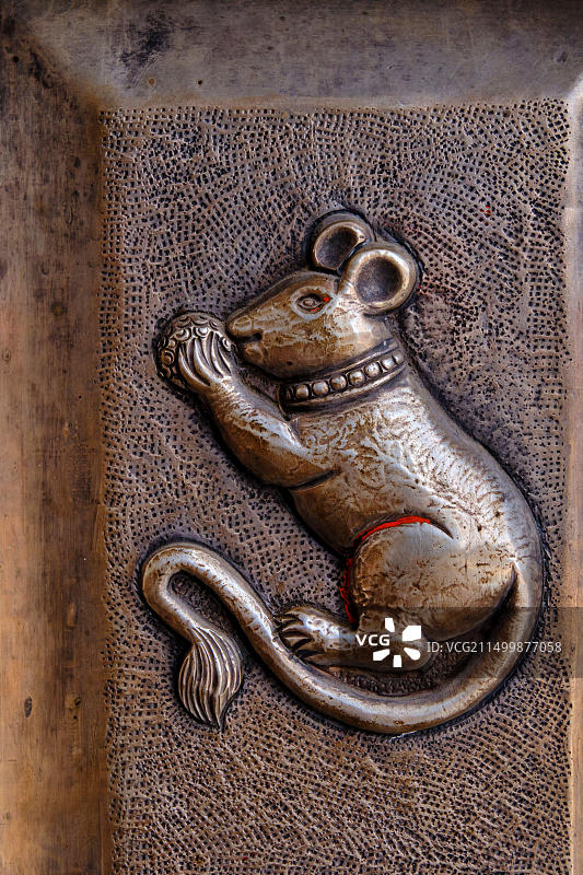 印度拉贾斯坦邦比卡内地区代什诺克卡尔尼·玛塔神庙，又名老鼠庙图片素材