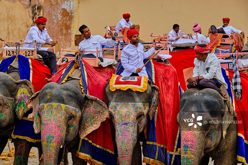 印度斋浦尔琥珀堡与运象图片素材