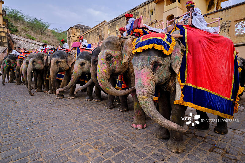 印度斋浦尔琥珀堡与运象图片素材