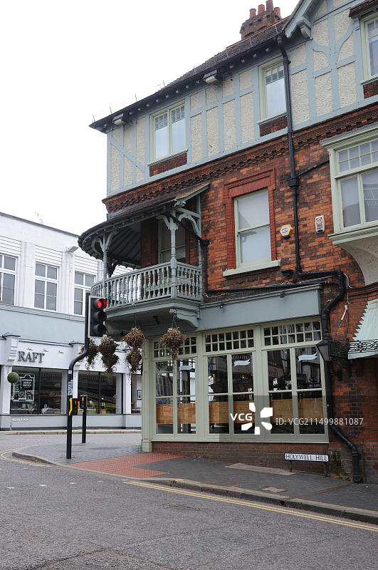 赫特福德郡圣奥尔本斯的母孔雀图片素材