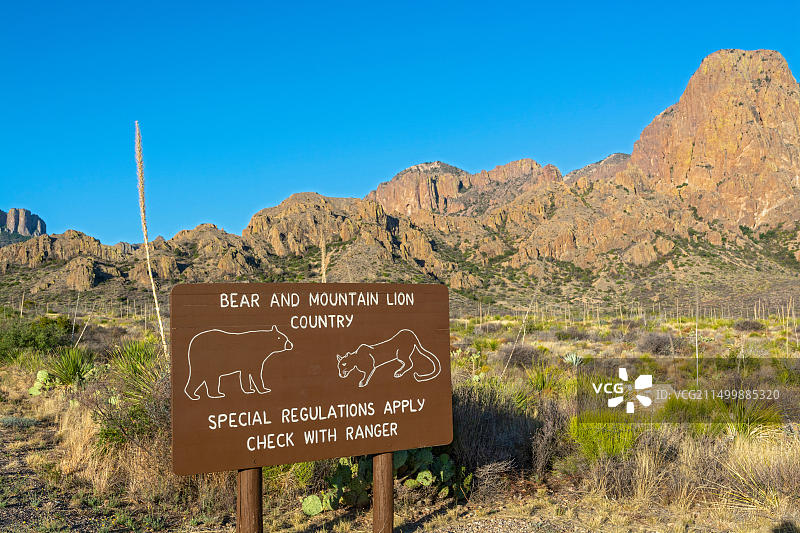 德克萨斯州大本德国家公园，从奇索斯盆地路看到的熊和美洲狮警告标志图片素材
