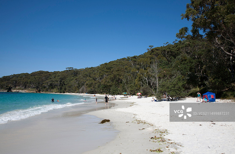 澳大利亚杰维斯湾布德里国家公园的日光浴者图片素材