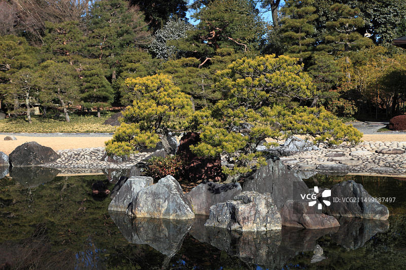 日本京都二条城花园图片素材