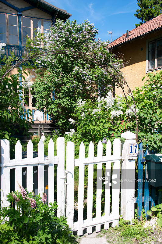 斯德哥尔摩附近瓦克斯霍尔姆岛上带花园和栅栏的传统木屋图片素材