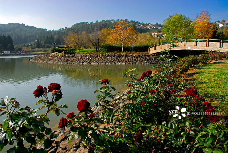 蒙福特湖，塔希哈，以色列图片素材