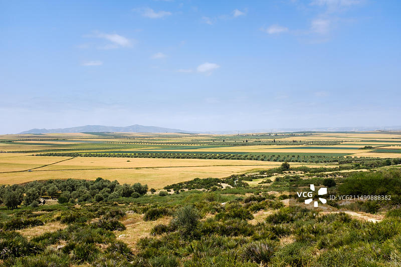 摩洛哥梅克内斯：沃吕比利斯周边的摩洛哥乡村景色图片素材