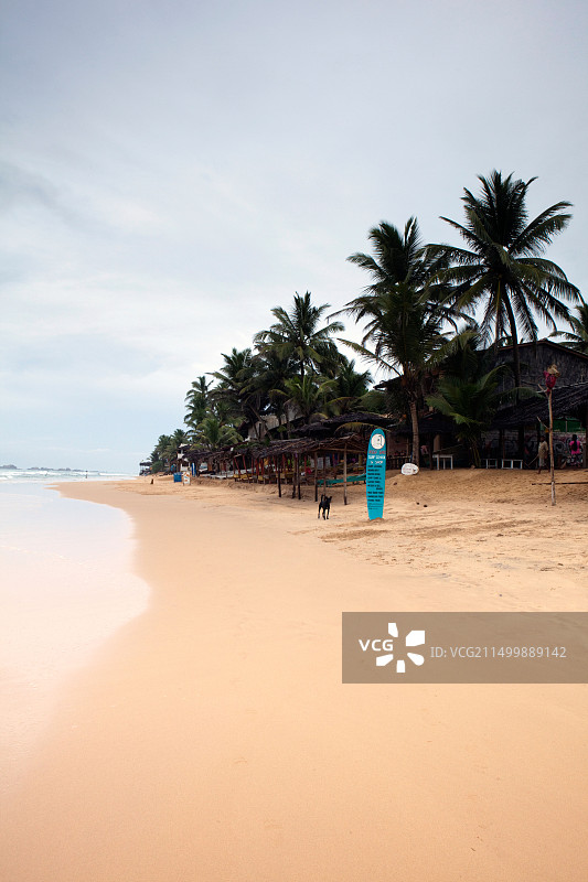 斯里兰卡希卡杜瓦海滩风光图片素材