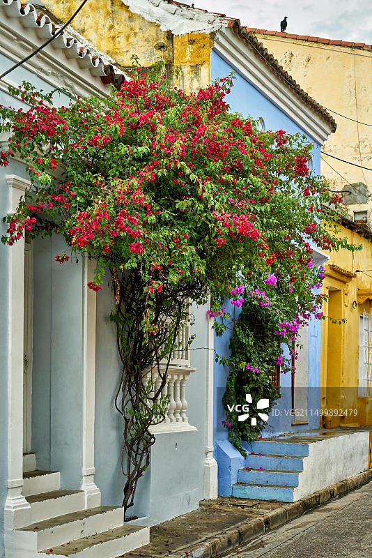 哥伦比亚卡塔赫纳色彩缤纷的房屋外墙和鲜花图片素材