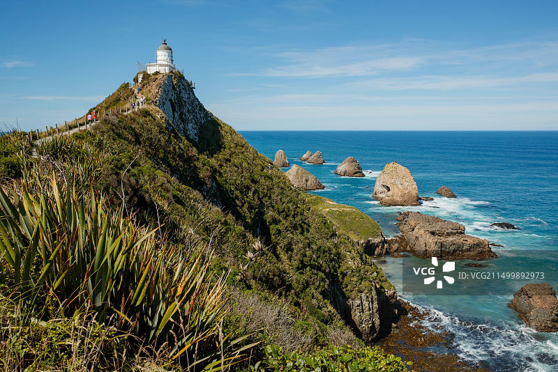 新西兰奥瓦卡掘金角灯塔图片素材