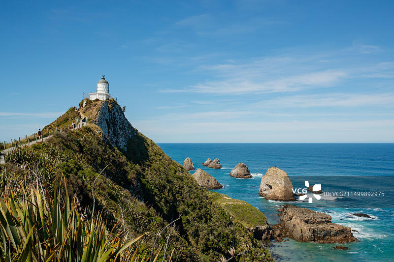 新西兰奥瓦卡掘金角灯塔图片素材