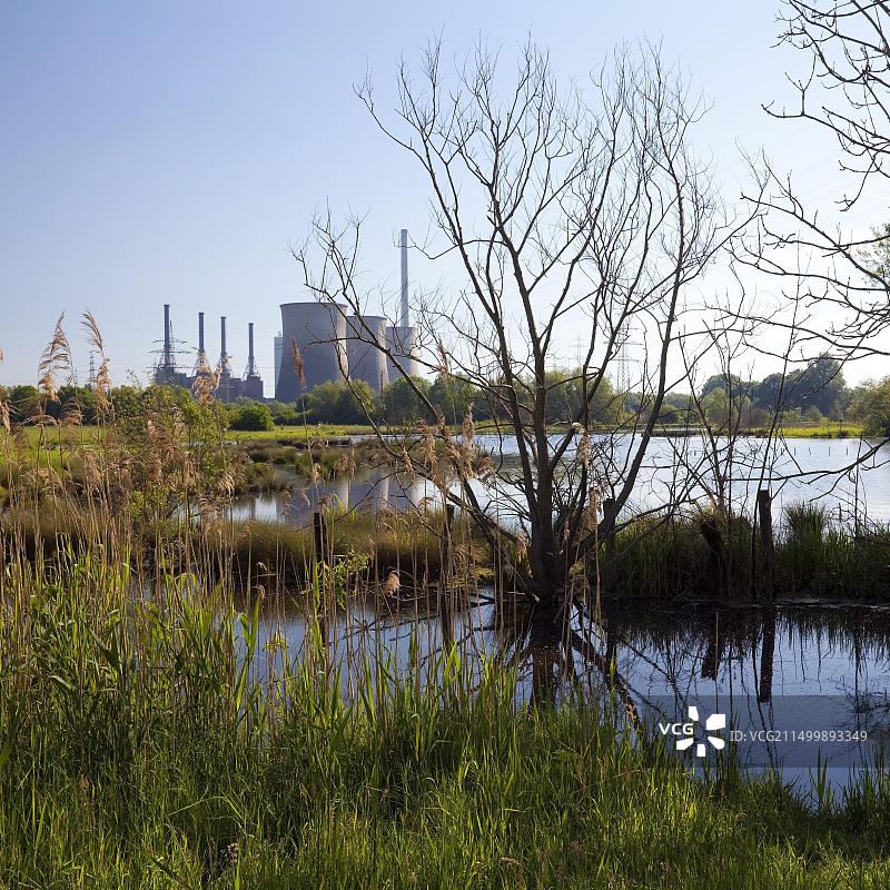 德国哈姆的自然保护区Tiebaum和Gersteinwerk发电站图片素材