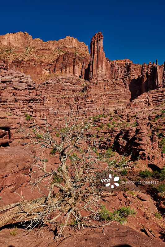 费舍尔塔，摩押，犹他州，美国，北美图片素材