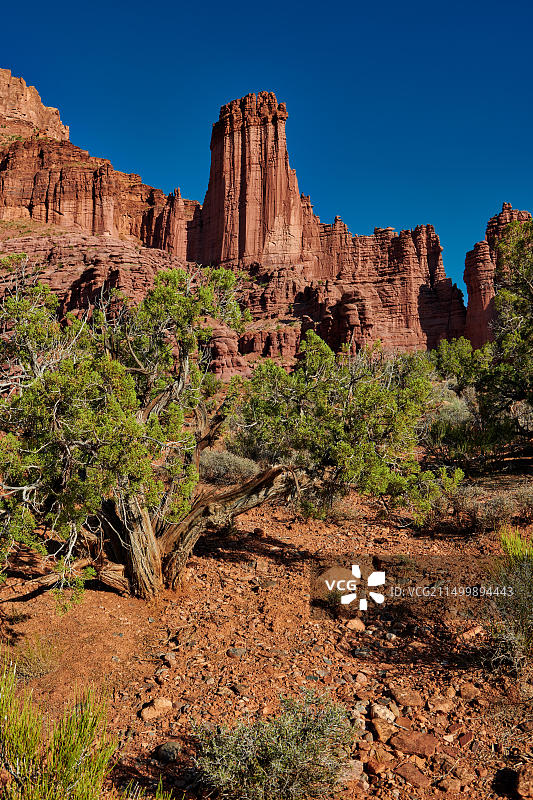 费舍尔塔，摩押，犹他州，美国，北美图片素材