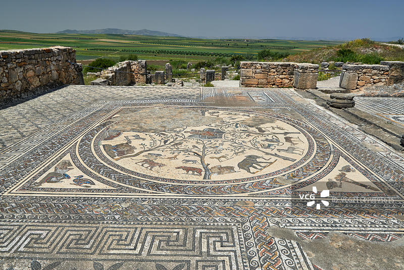 沃吕比利斯罗马遗址中的俄耳甫斯之家动物马赛克，非洲摩洛哥图片素材