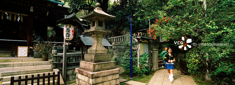 两名游客在公园里散步，日本关东地区东京上野公园图片素材