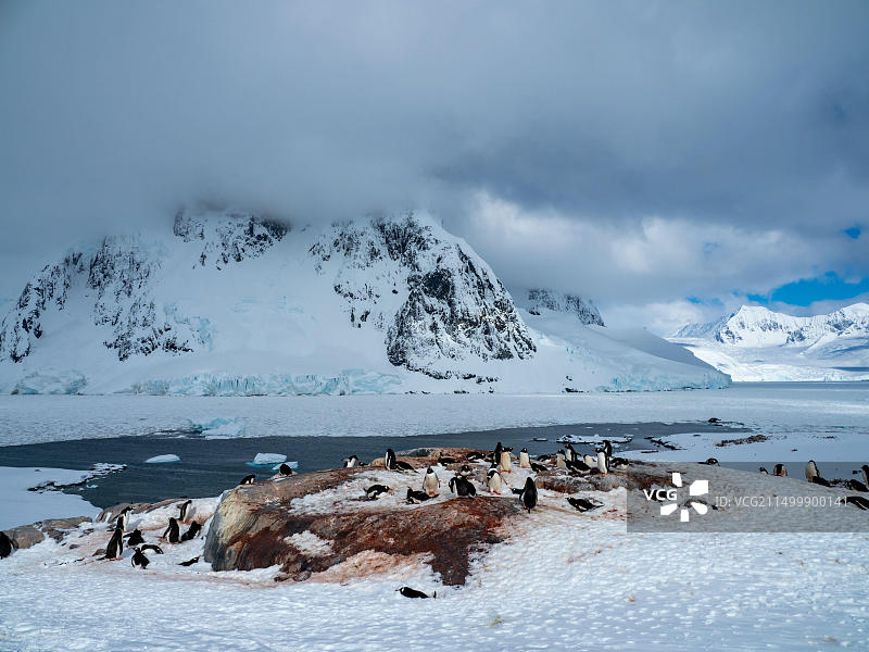 从普莱诺岛望向南极洲勒梅尔海峡的壮丽景色，还有巴布亚企鹅图片素材
