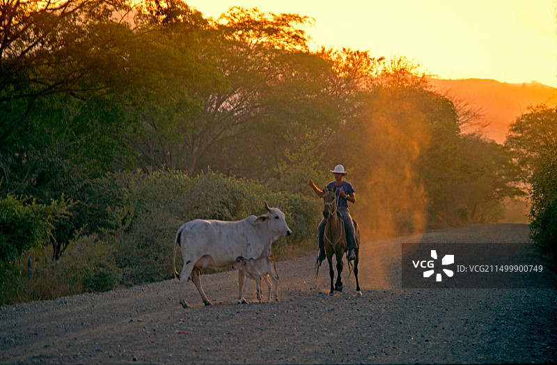 哥斯达黎加瓜纳卡斯特高乔人图片素材