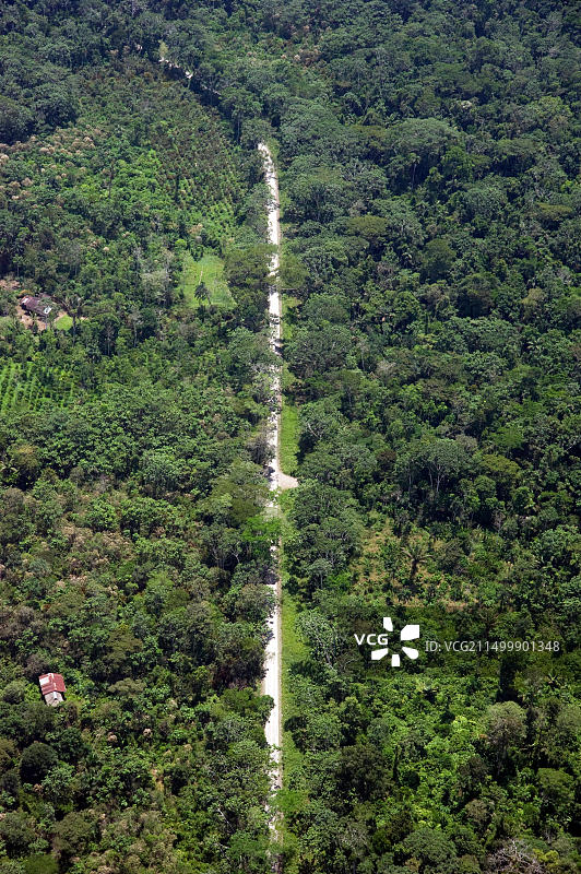 穿越亚马逊热带雨林的道路鸟瞰图图片素材