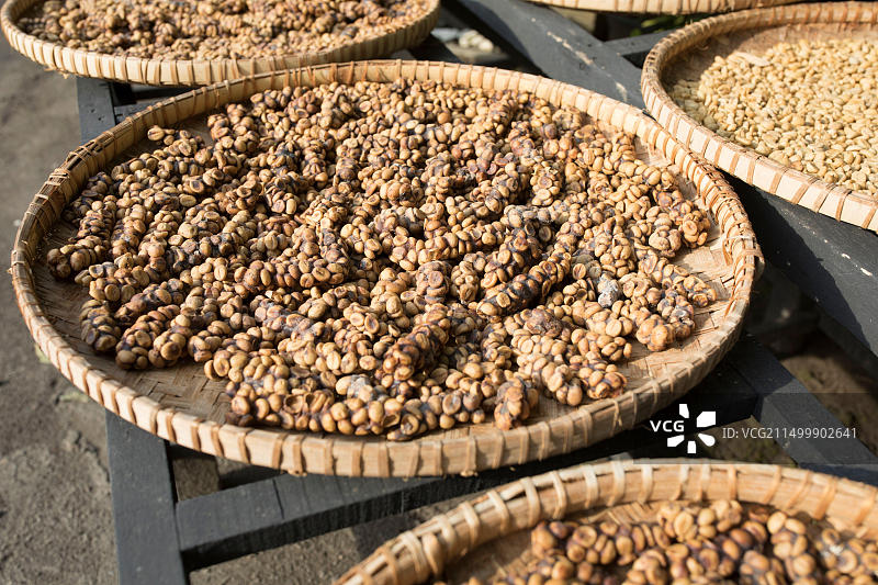 印度尼西亚爪哇岛市场上出售的麝香猫咖啡图片素材