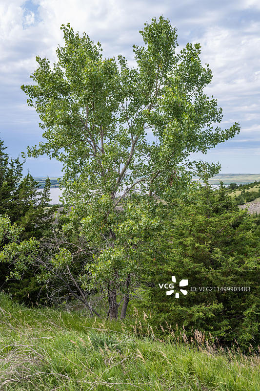 密苏里河全景图片素材