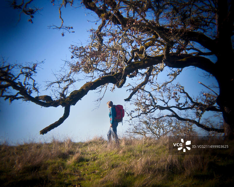 俄勒冈州罗斯堡附近北岸栖息地管理区的徒步旅行者图片素材