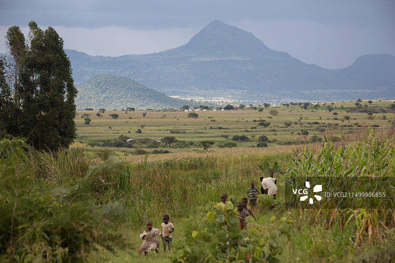 乌干达布克沃区位于埃尔贡山东部山麓图片素材