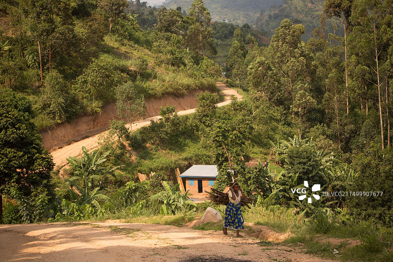 乌干达卡塞塞地区的鲁文佐里山脉风光（乌干达与刚果民主共和国的边界）图片素材