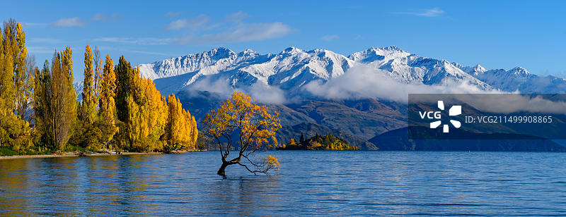 瓦纳卡树，秋季雪山，新西兰南岛图片素材