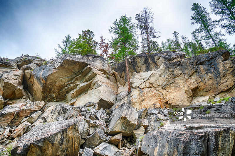 加拿大不列颠哥伦比亚省岩石峭壁上生长的树木图片素材