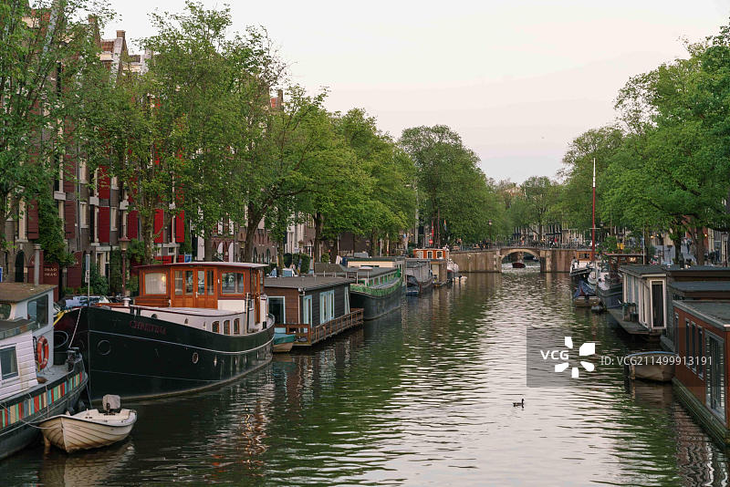 夏季傍晚的阿姆斯特丹Brouwersgracht运河图片素材