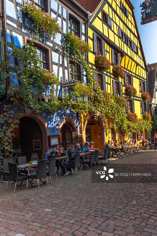 风景如画的木结构房屋，藤蔓丛生，法国阿尔萨斯里克维尔，历史悠久的古老村庄和旅游景点图片素材