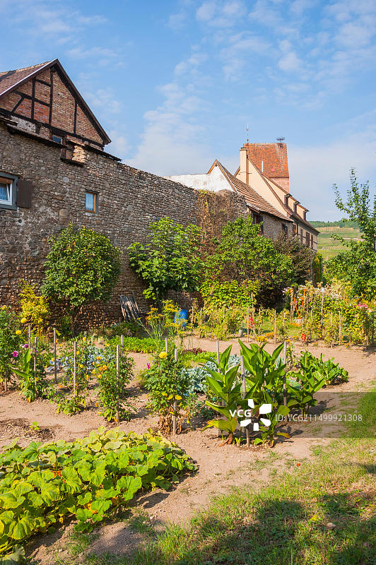 凯恩茨海姆中世纪城镇围墙，毗邻凯泽斯贝格，风景如画的村庄，阿尔萨斯葡萄酒之路，法国阿尔萨斯图片素材