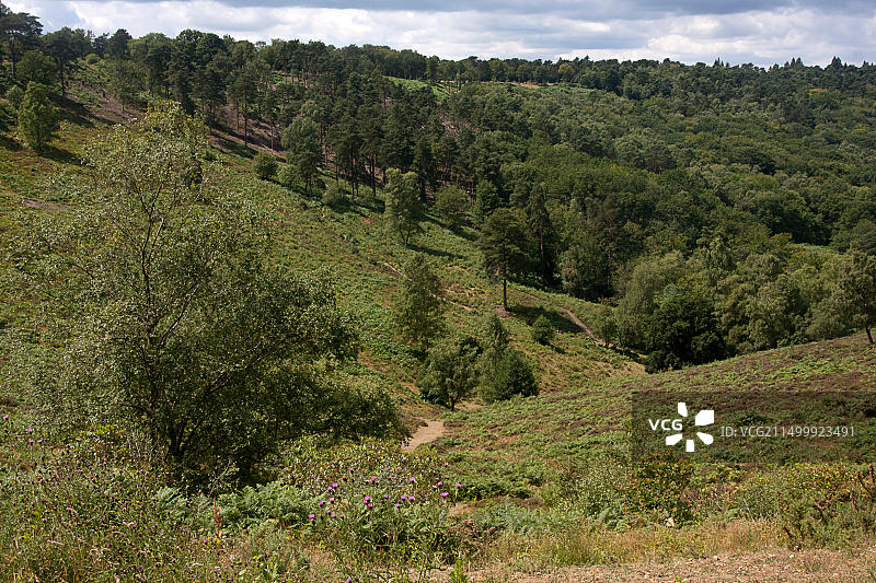 英国中生代古老泉水谷地魔鬼潘趣酒碗，萨里郡辛德黑德图片素材